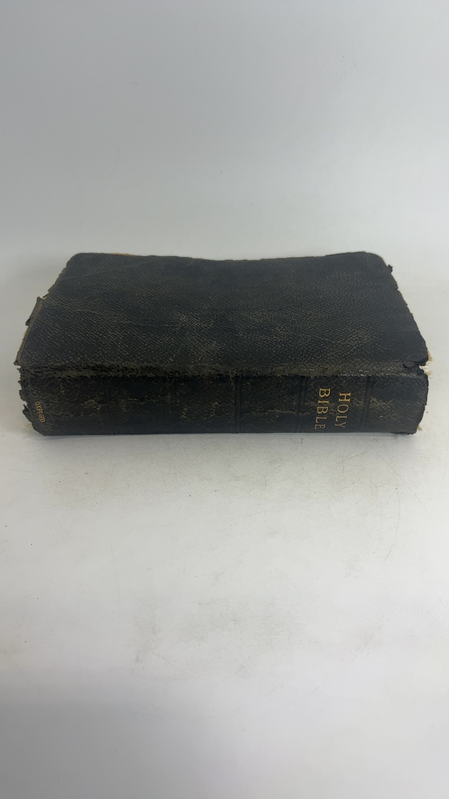 The Holy Bible - Image 9