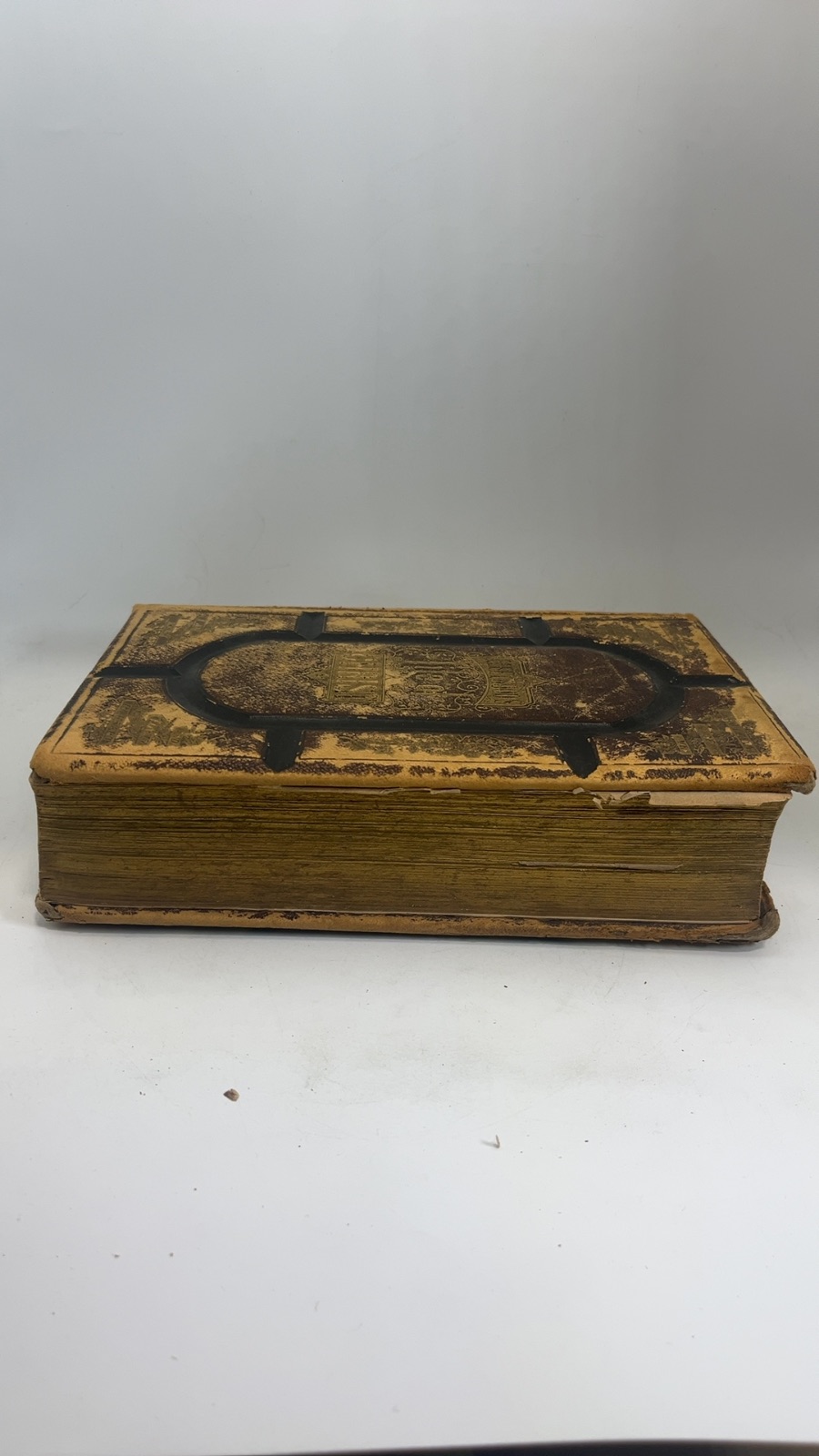 Fleetwood's Life of Christ - Vintage Antique - Image 6