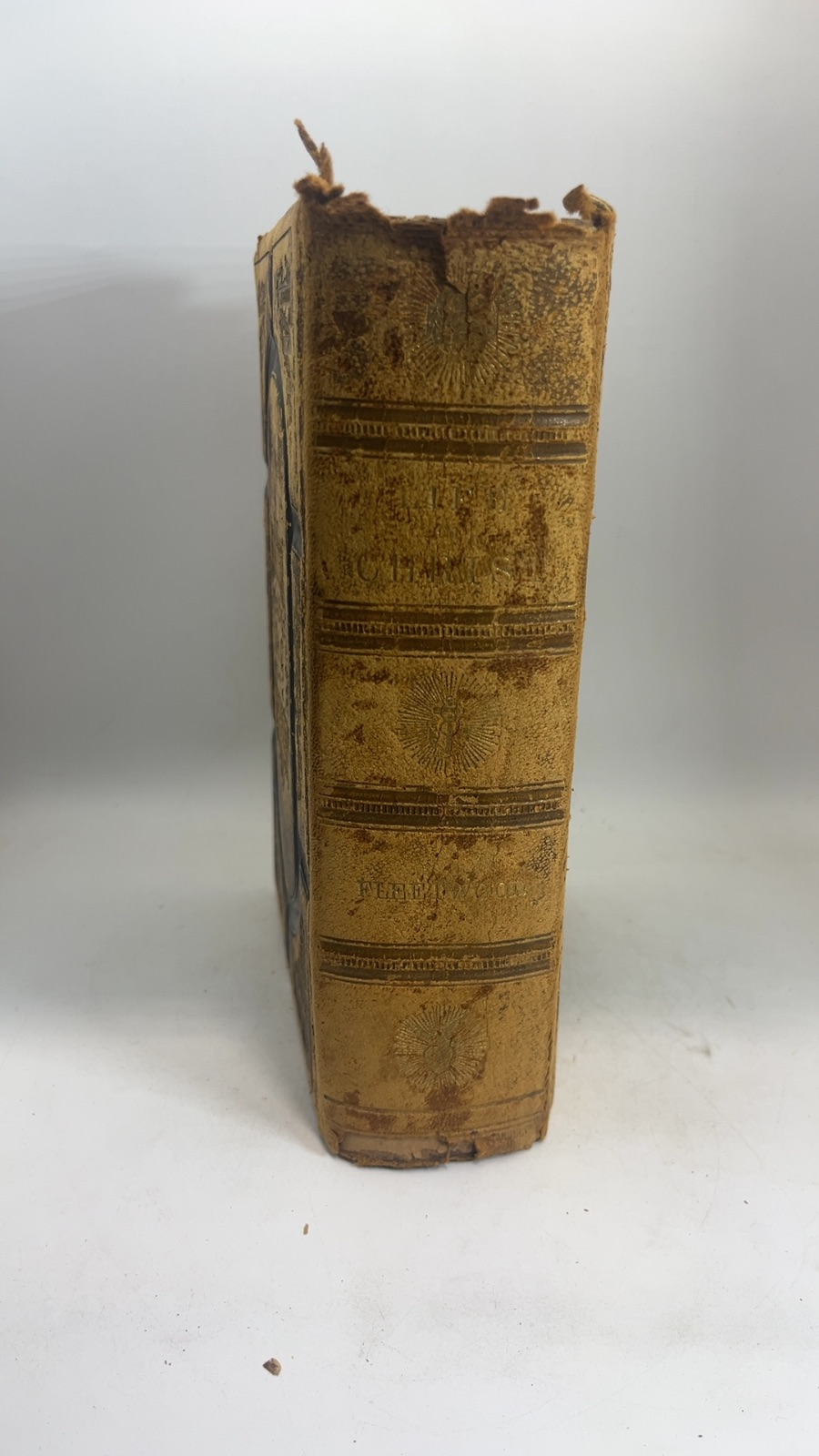 Fleetwood's Life of Christ - Vintage Antique - Image 7