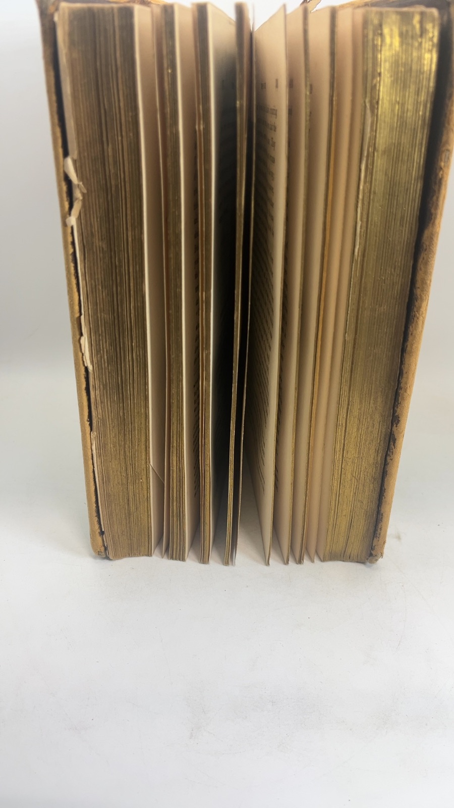 Fleetwood's Life of Christ - Vintage Antique - Image 3