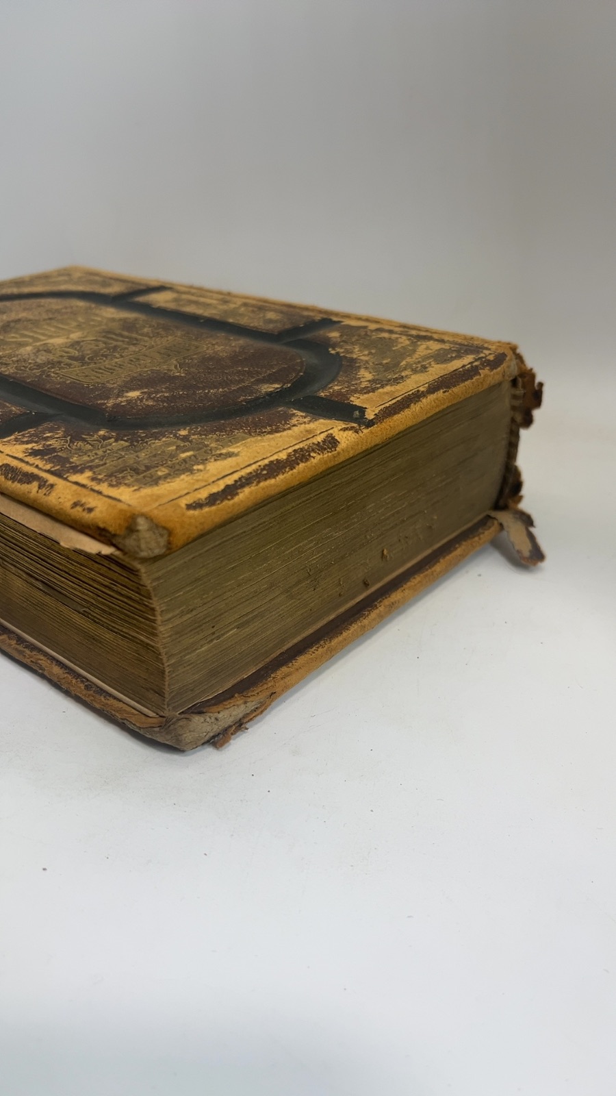 Fleetwood's Life of Christ - Vintage Antique - Image 5