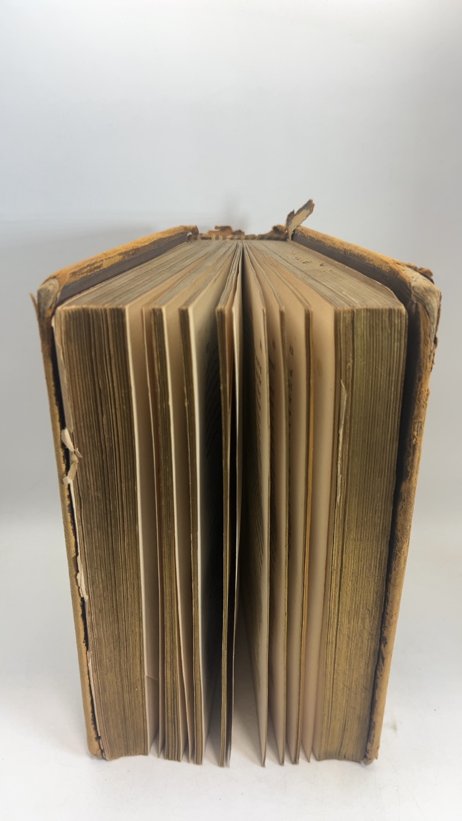 Fleetwood's Life of Christ - Vintage Antique - Image 2