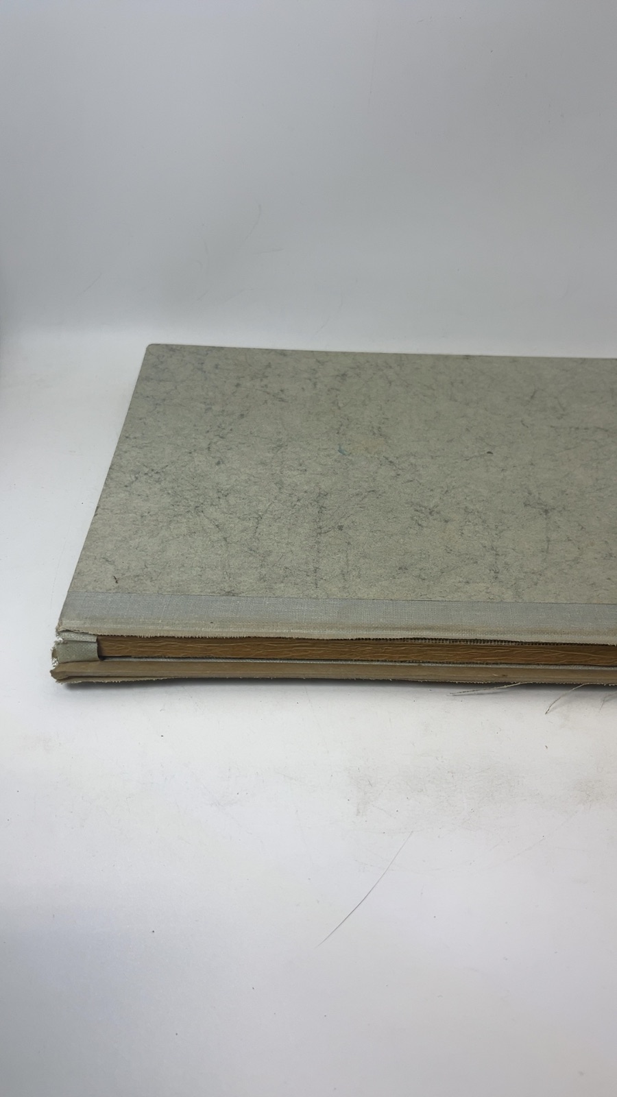 pier luigi nervi - Image 7