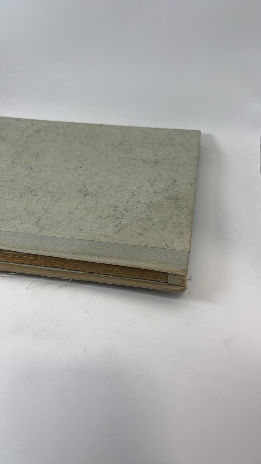 pier luigi nervi - Image 8