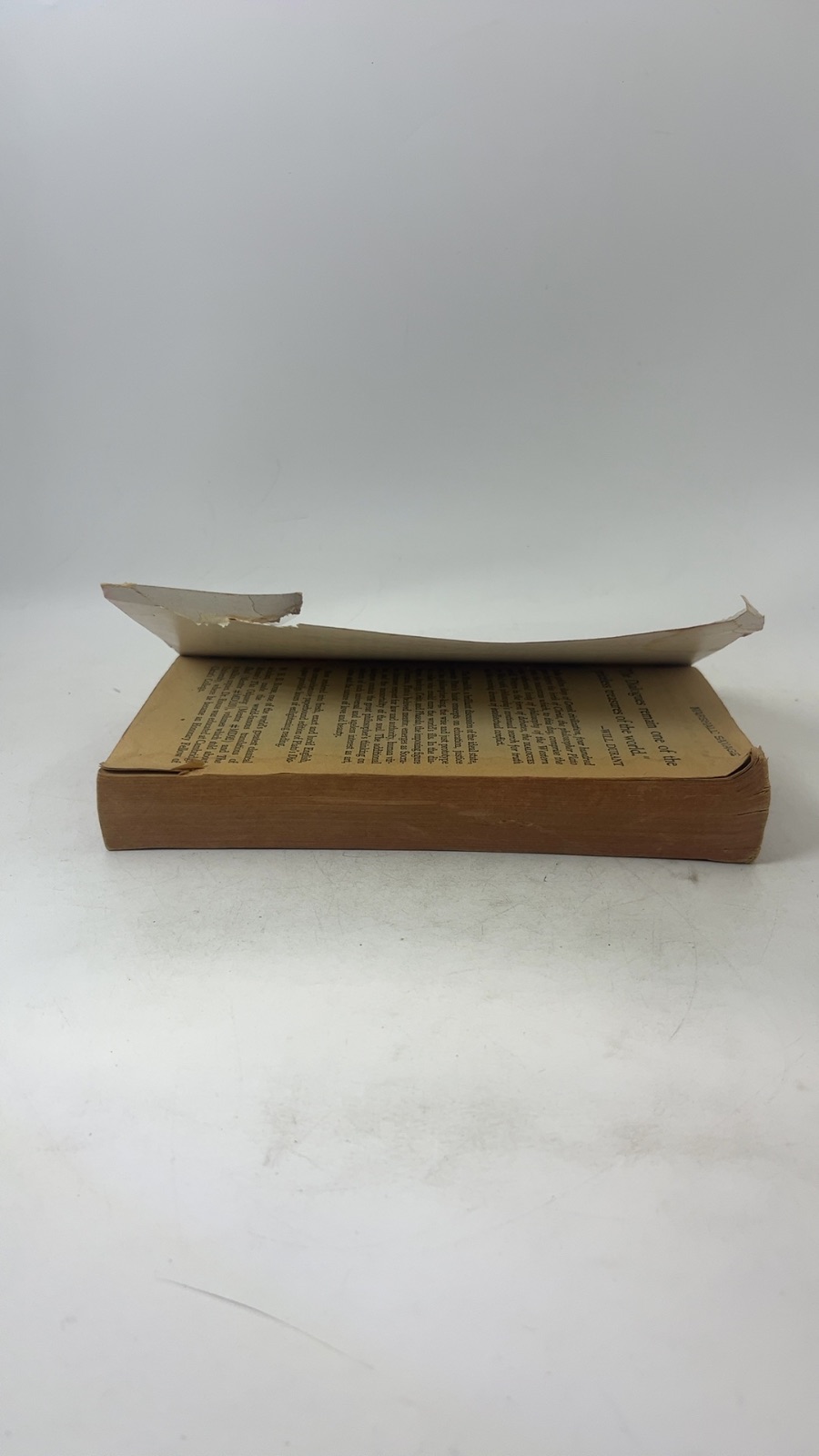 Great Dialogues of Plato - Image 6