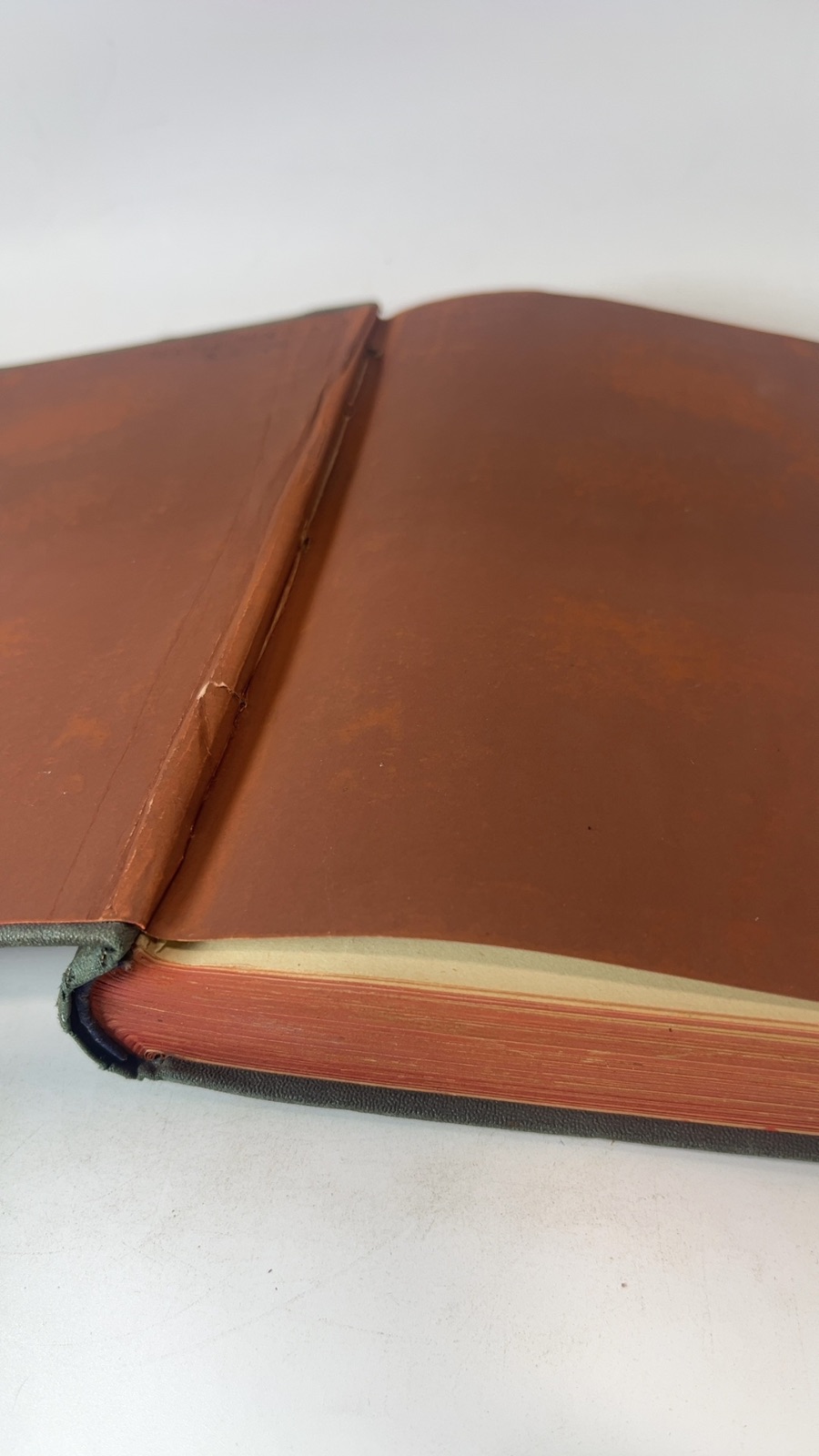 Wool-Gathering - Image 7