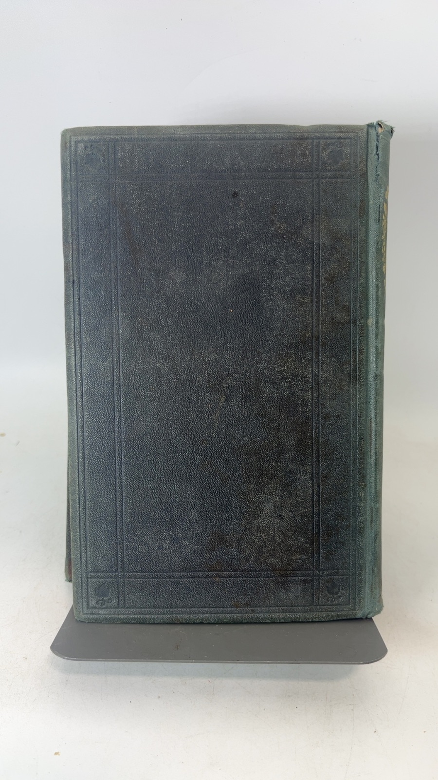 Wool-Gathering - Image 3