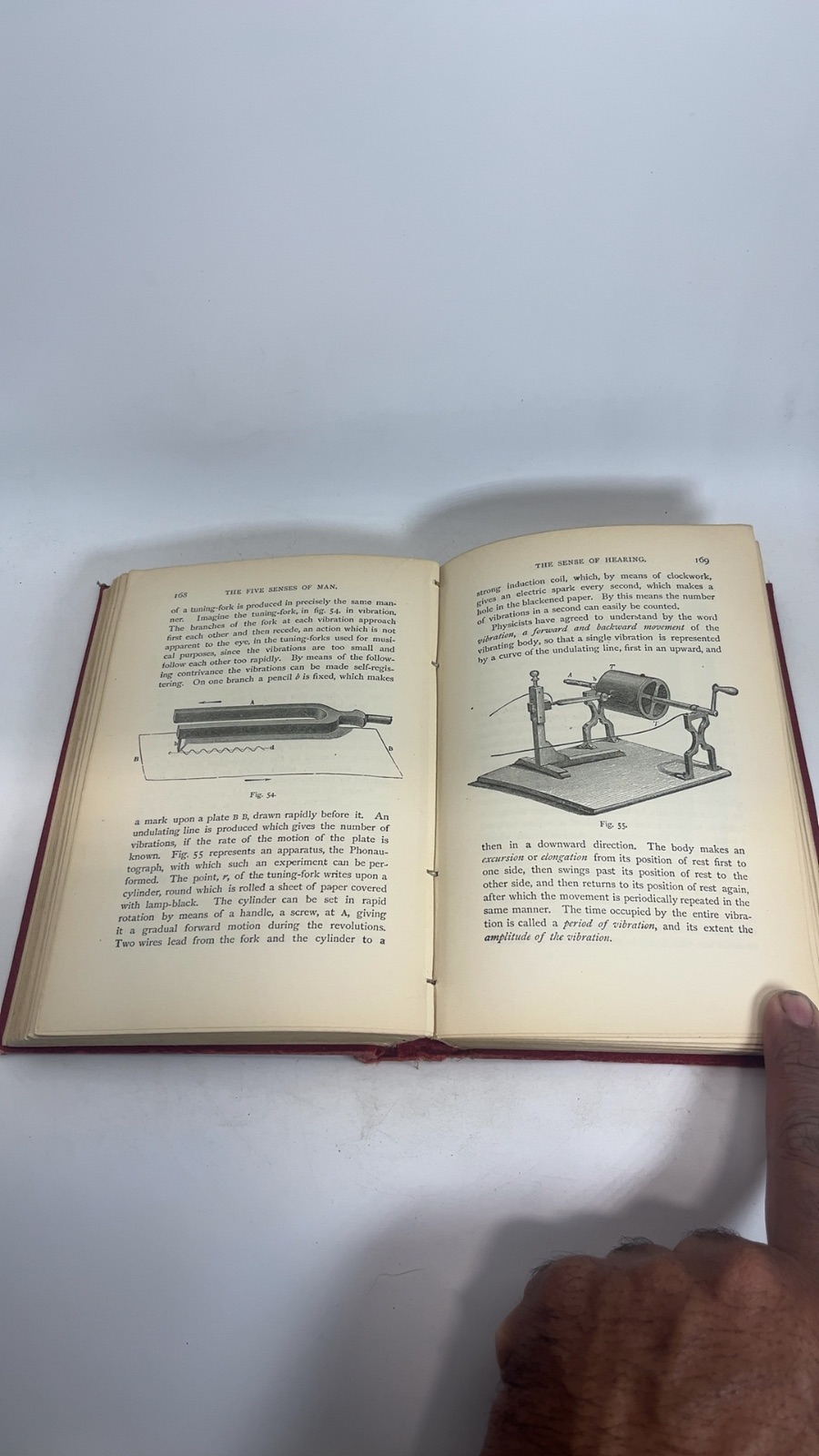 The Five Senses of Man - Image 6