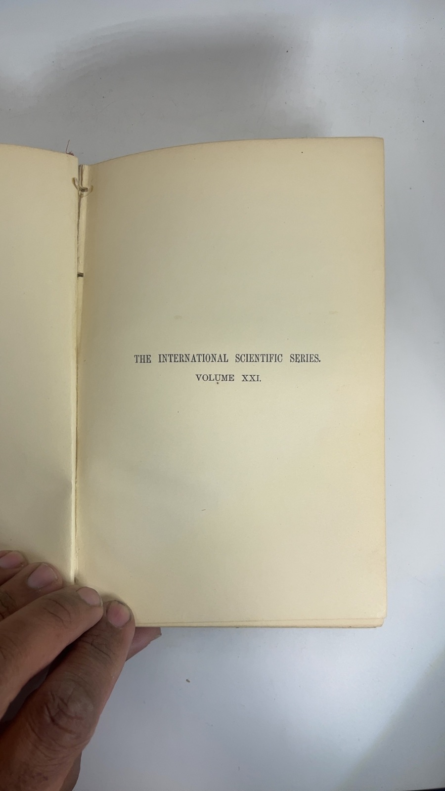 The Five Senses of Man - Image 4