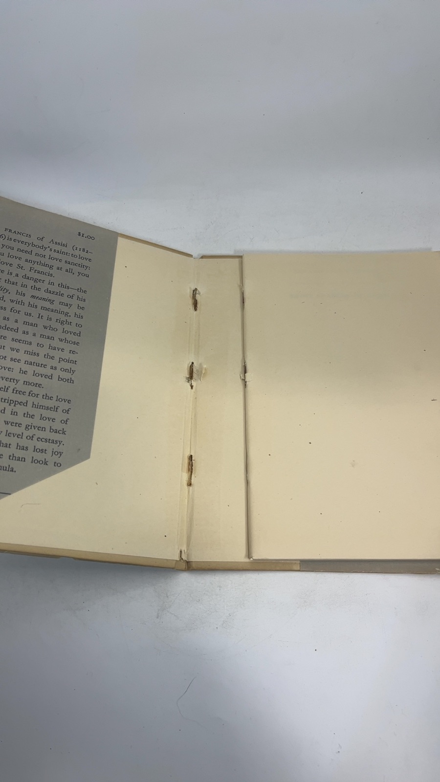 Saint Francis of Assisi - Image 4