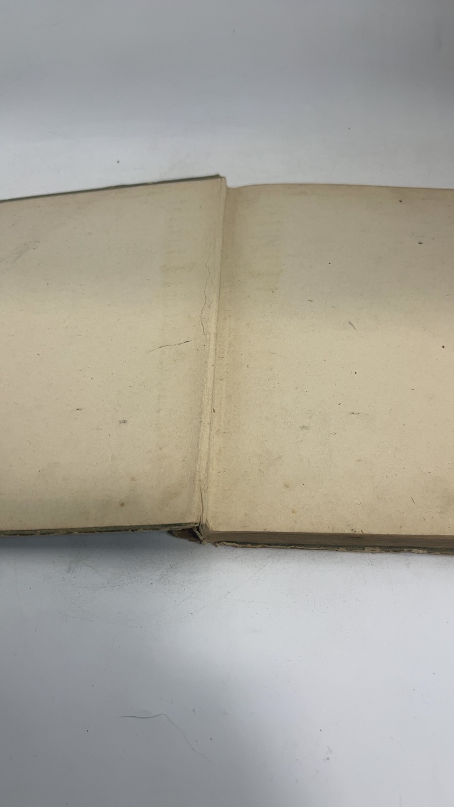 Loraine and the Little People of Spring - Image 6