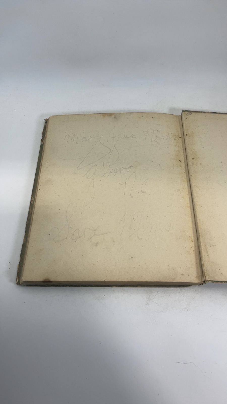 Loraine and the Little People of Spring - Image 7