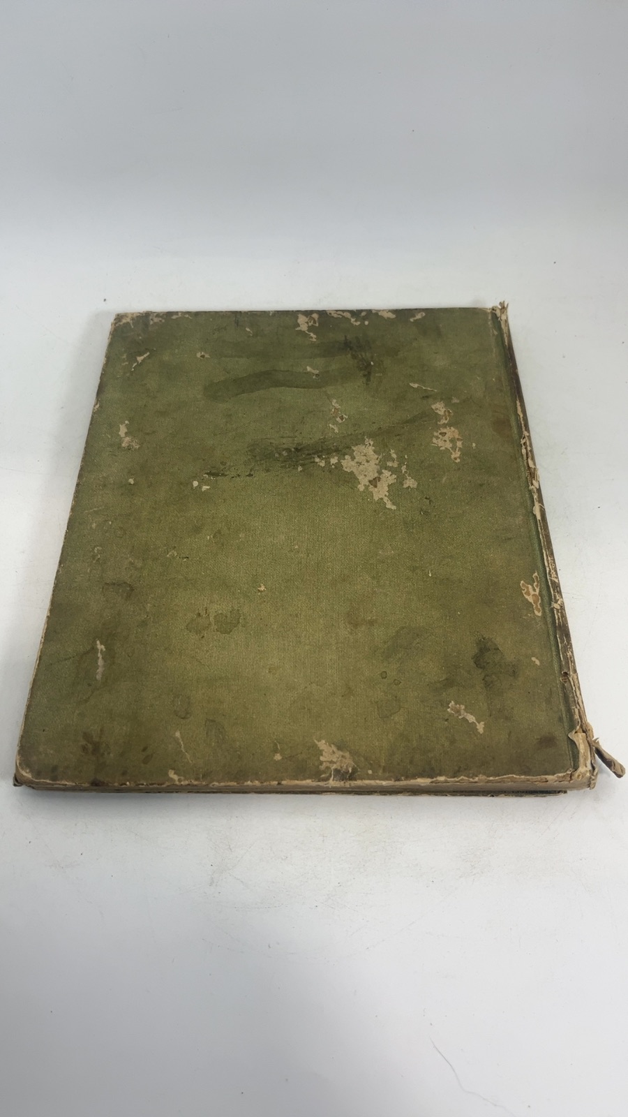 Loraine and the Little People of Spring - Image 10