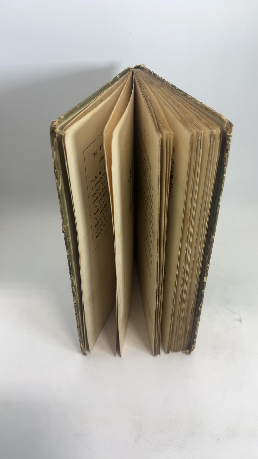 Loraine and the Little People of Spring - Image 12