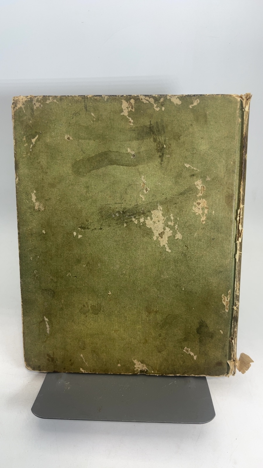 Loraine and the Little People of Spring - Image 3