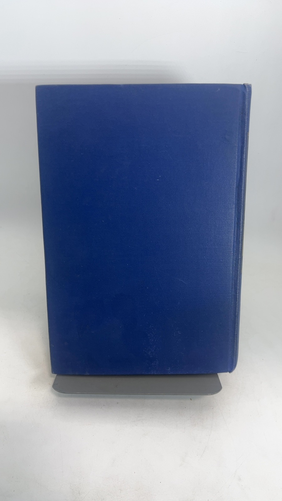 The Valiant Wife - Image 3