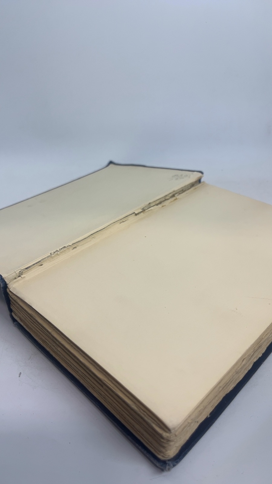 Little Rivers - Image 6