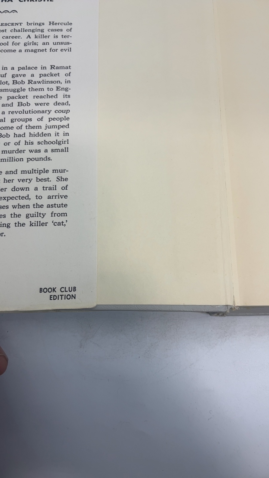 Cat Among the Pigeons - Image 6