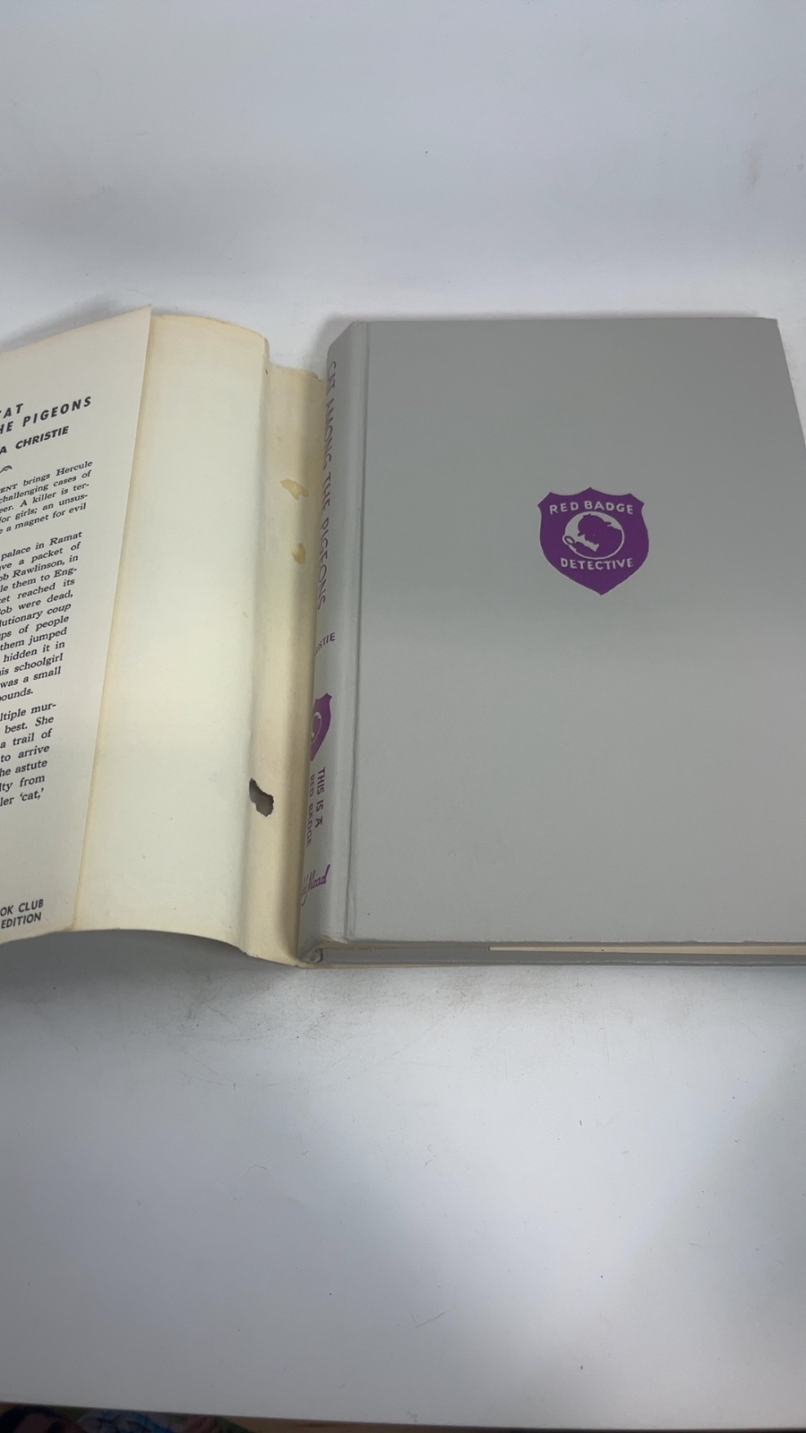 Cat Among the Pigeons - Image 7