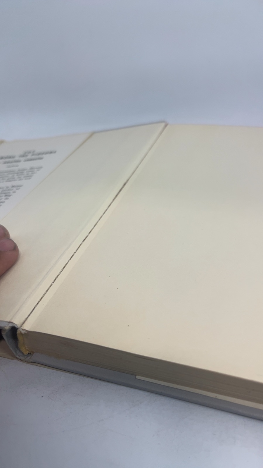 Cat Among the Pigeons - Image 8