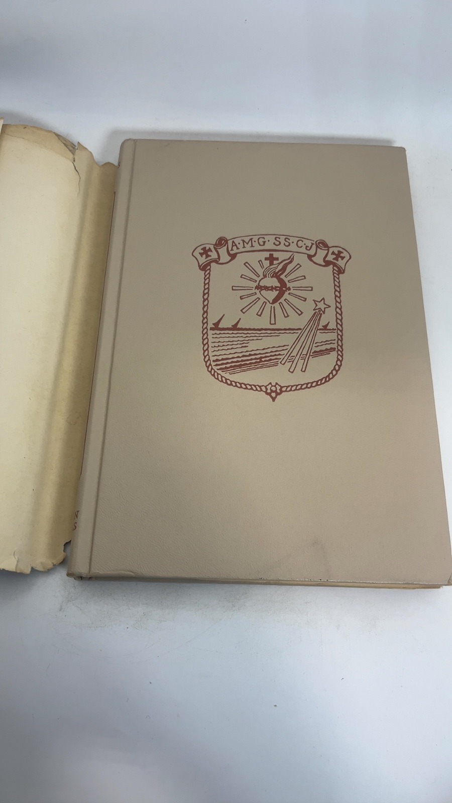 Mother Cabrini: Missionary to the World - Image 7