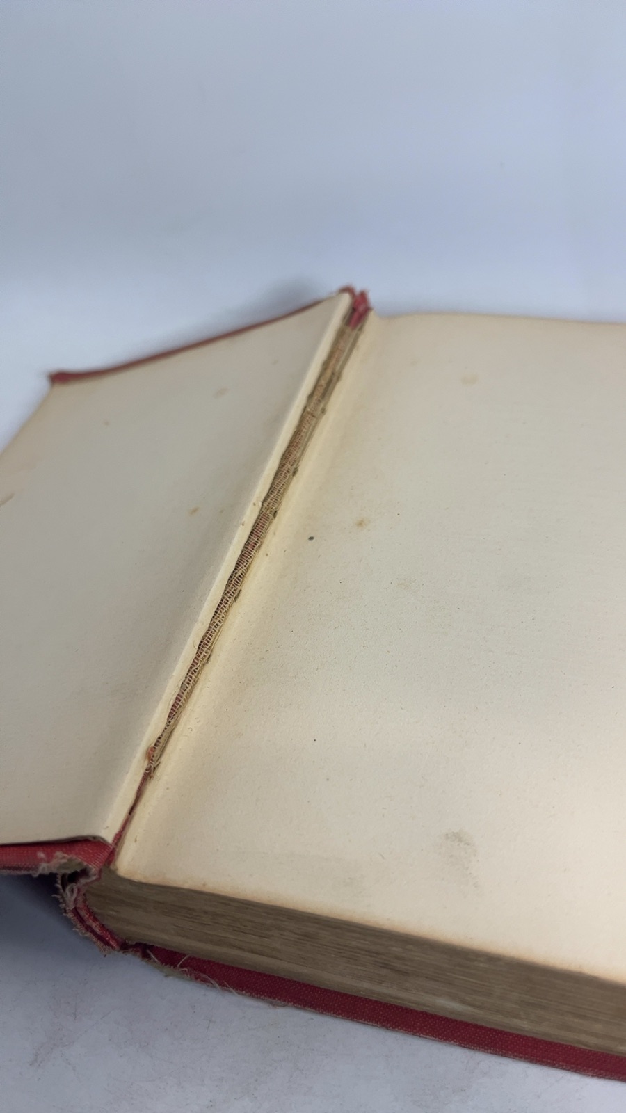 Boy: A Sketch - Image 5