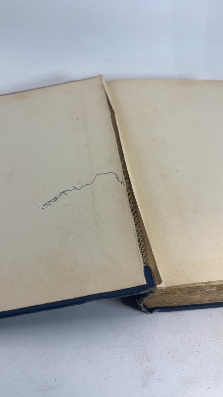 Little Eve Edgarton - Image 6