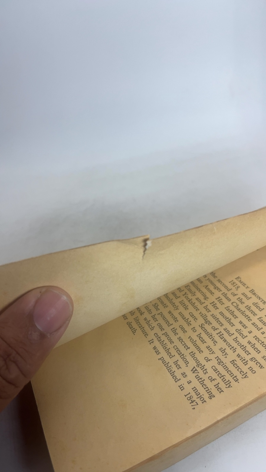 Wuthering Heights - Signet Classic - Image 7