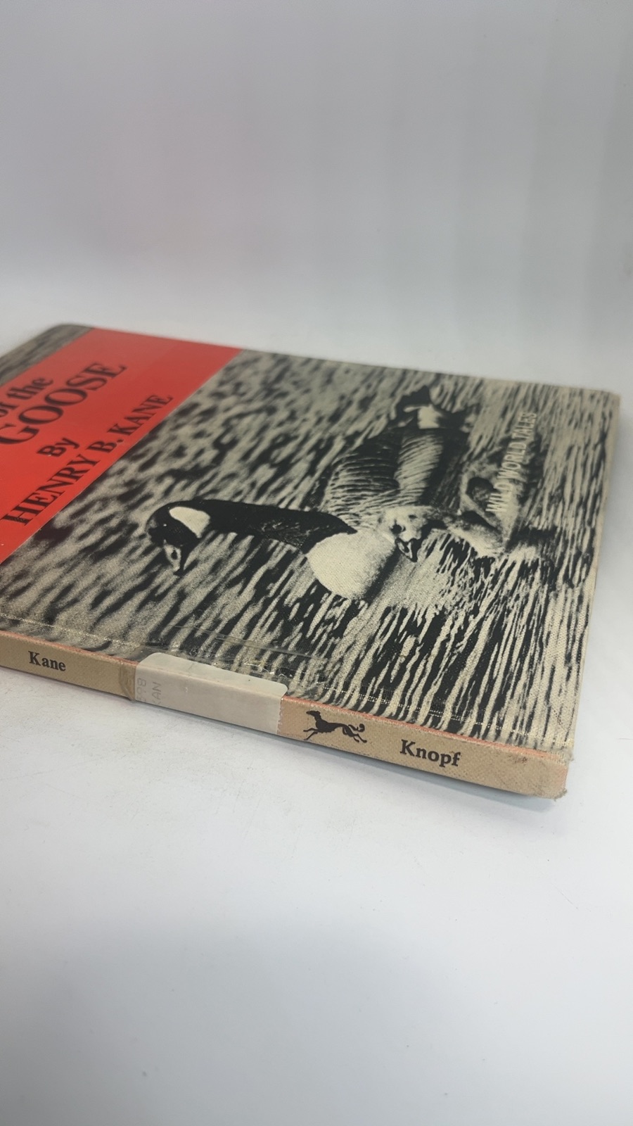 The Tale of the Wild Goose - Image 6