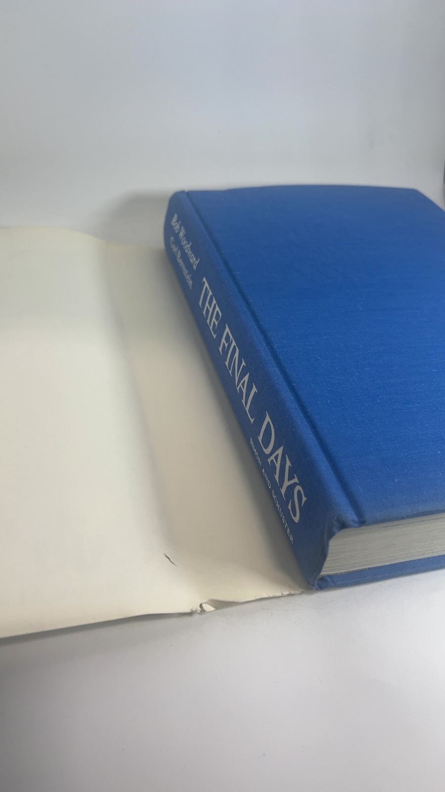 The Final Days - Image 7