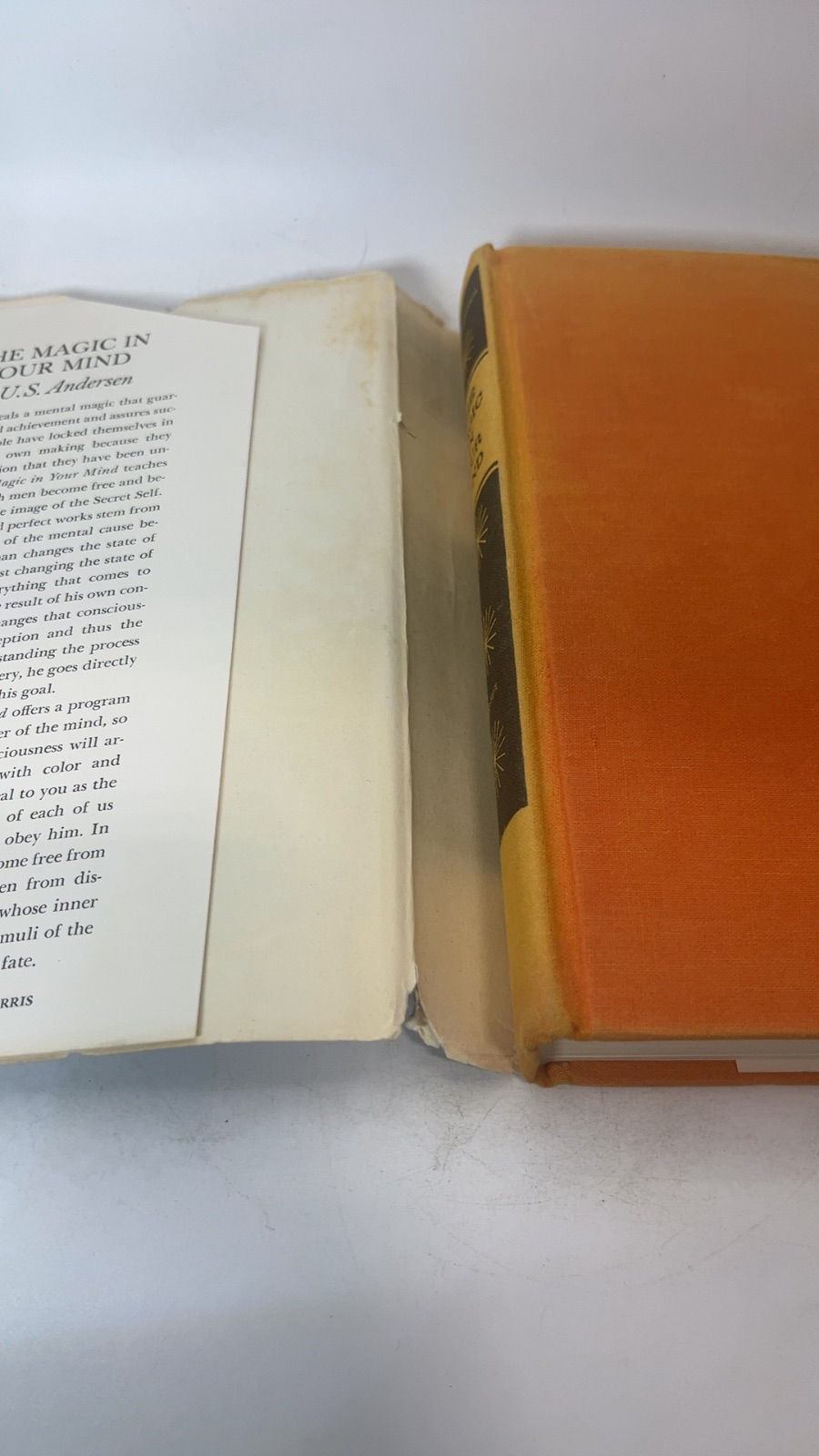 The Magic in Your Mind - Image 2