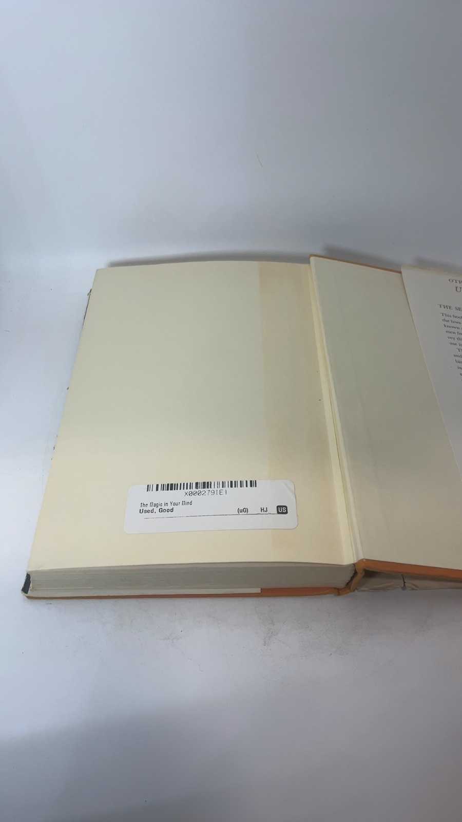 The Magic in Your Mind - Image 3