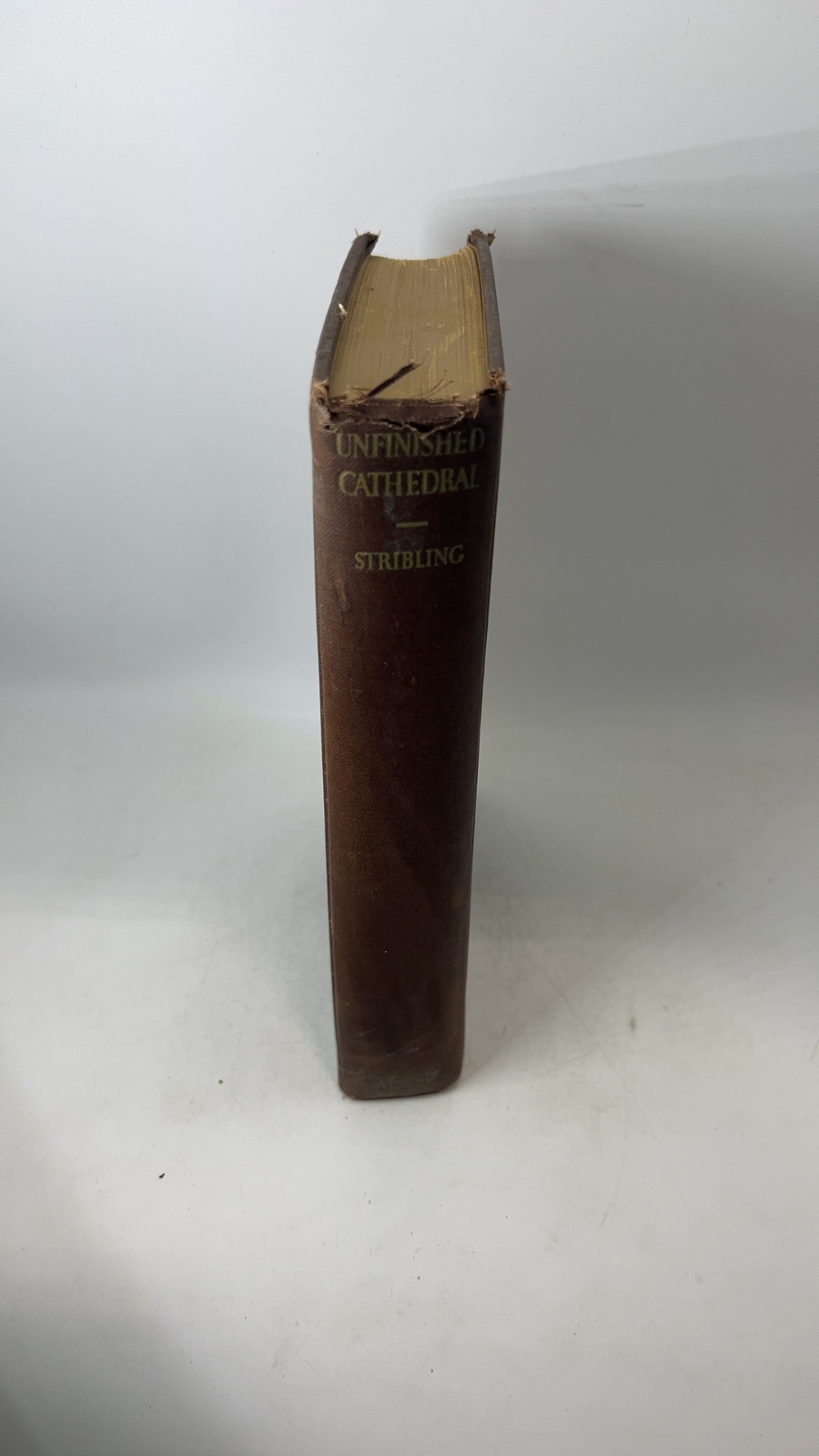 Unfinished Cathedral - Image 7