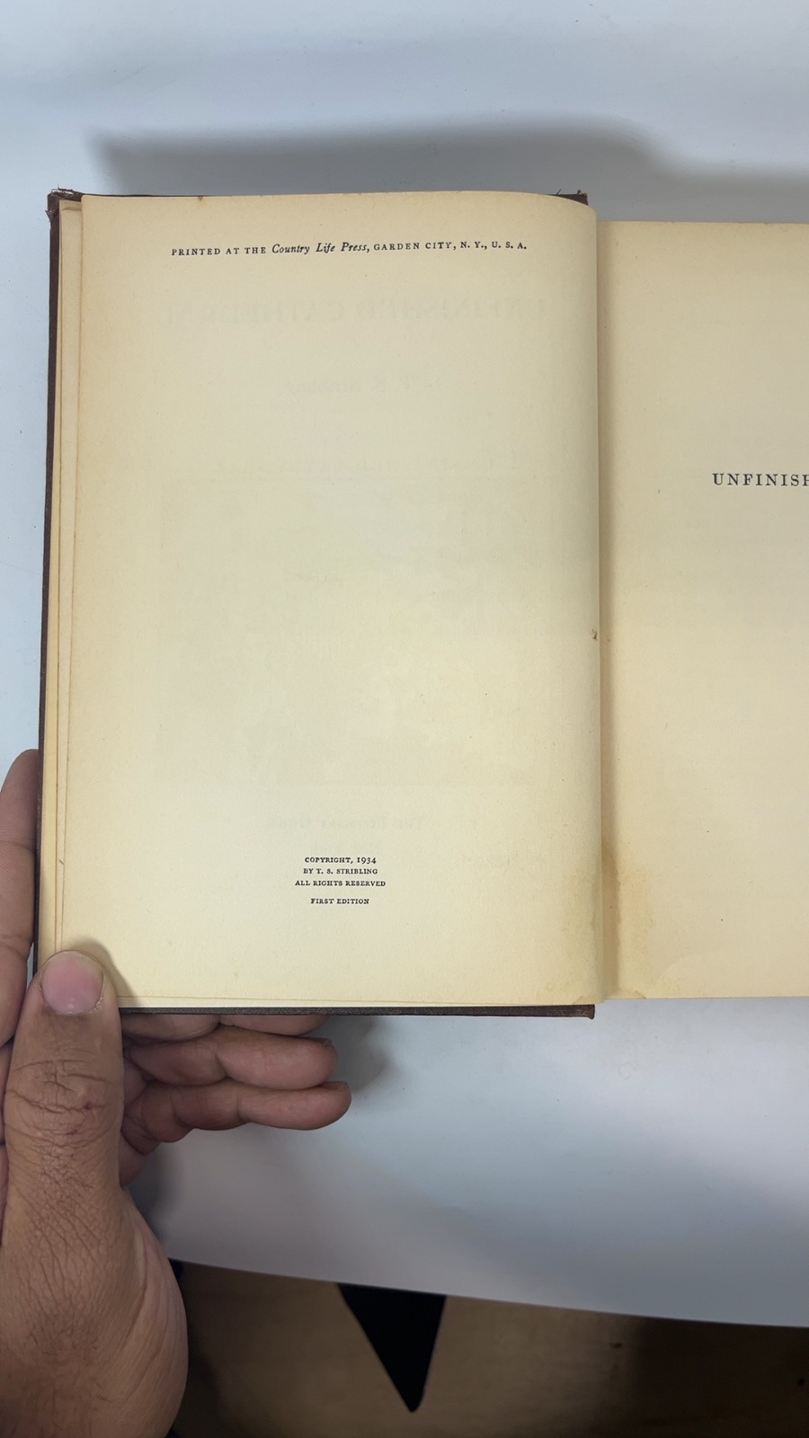 Unfinished Cathedral - Image 5