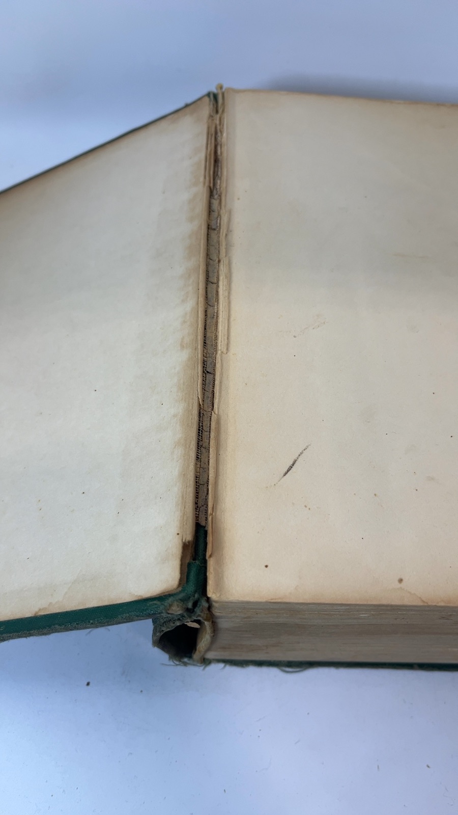 The Wise Encyclopedia of Cookery - Image 6