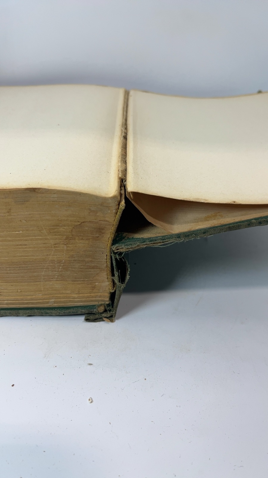 The Wise Encyclopedia of Cookery - Image 9