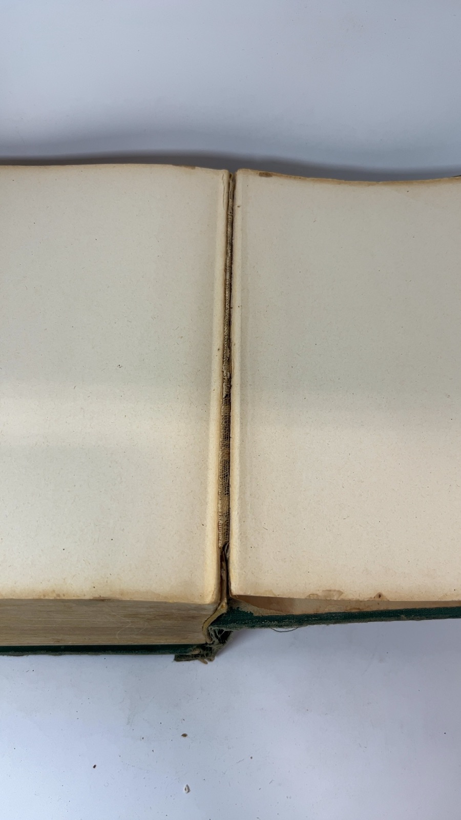 The Wise Encyclopedia of Cookery - Image 10