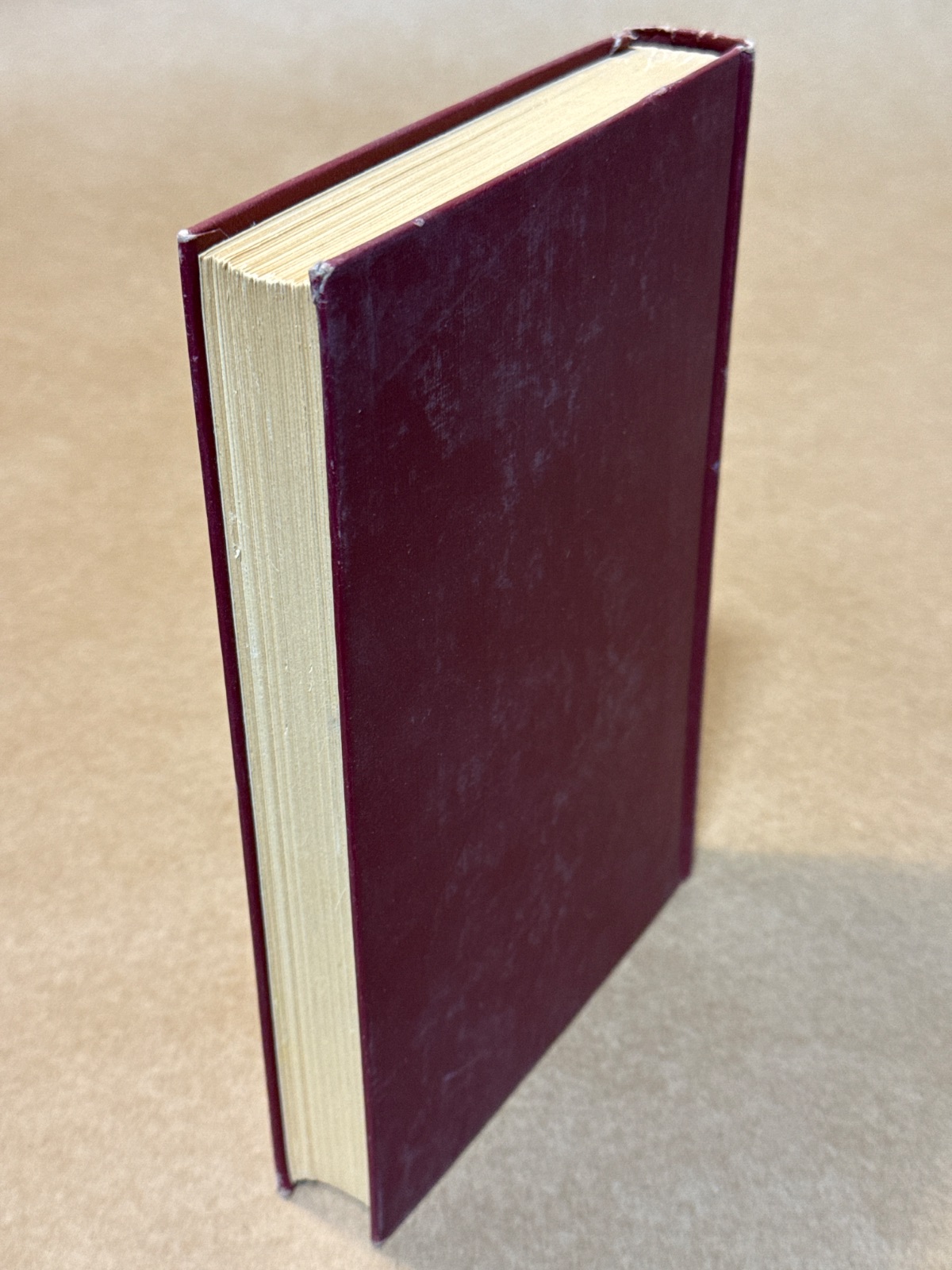 The Will to Live - Image 3