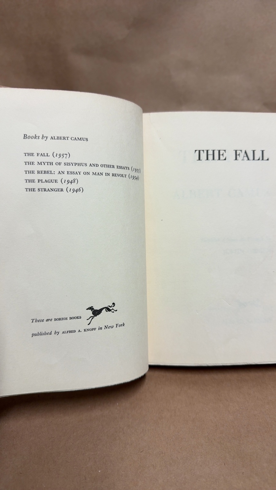 THE FALL - Image 5