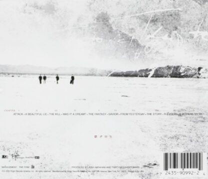 A Beautiful Lie - Image 4