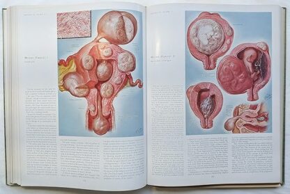 CIBA Collection of Medical Illustrations Volume 2: the Reproductive System - Image 7