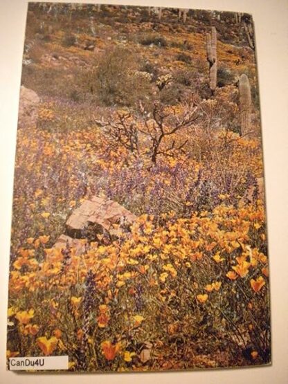 Flowers of the Southwest Deserts [Paperback] Natt N. Dodge and Jeanne R. Janish - Image 3