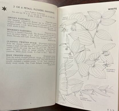 Pacific States Wildflowers (Roger Tory Peterson Field Guides, Collector's Lifetime 50th Anniversary Edition) - Image 4