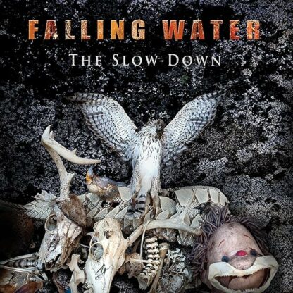 Slow Down [Audio CD] Falling Water