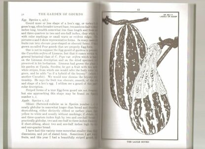 The Garden of Gourds [Paperback] Liberty Hyde Bailey and illustrated - Image 3