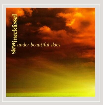 Under Beautiful Skies [Audio CD] Steve Meckfessel